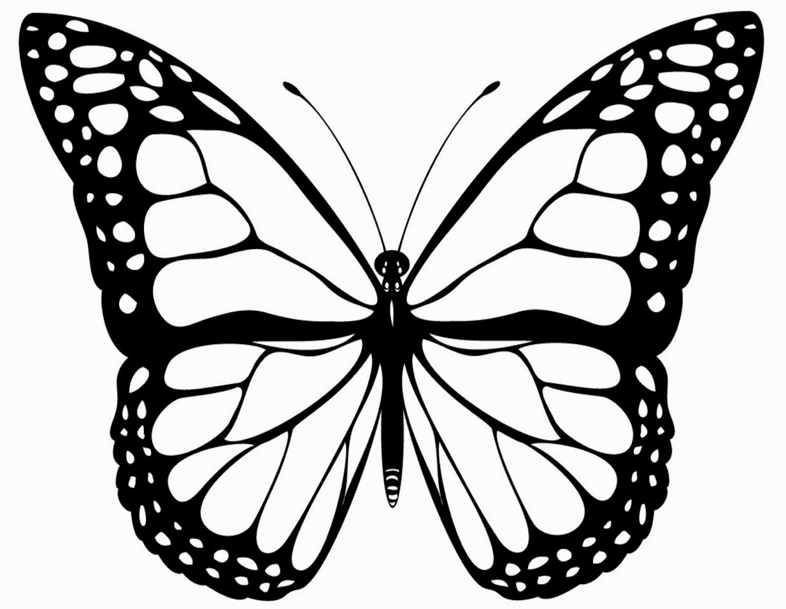  Ausmalbilder Schmetterling Zum Ausdrucken Motiv 