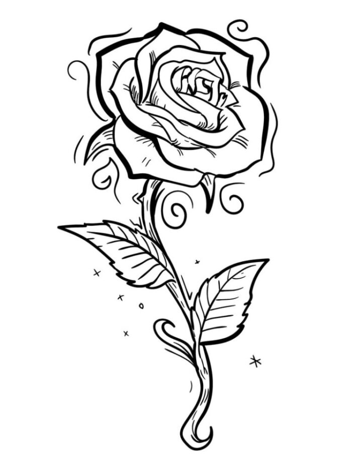 rose ausmalen