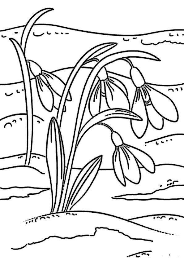 malvorlagen fruehling